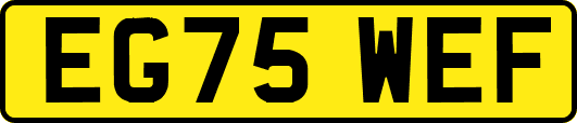 EG75WEF