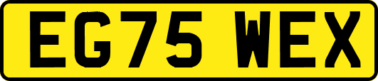 EG75WEX