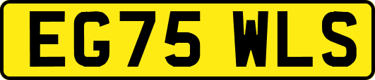 EG75WLS