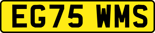 EG75WMS