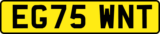 EG75WNT