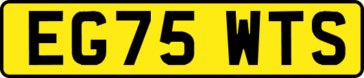 EG75WTS