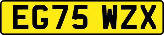 EG75WZX