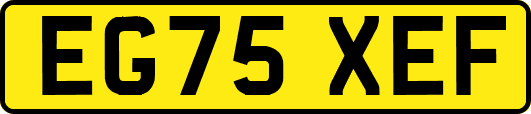 EG75XEF