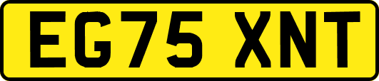 EG75XNT