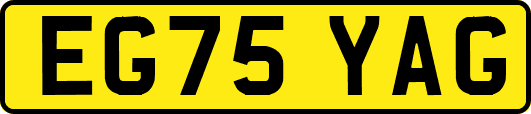 EG75YAG