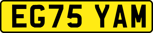 EG75YAM