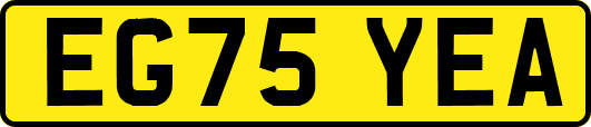 EG75YEA