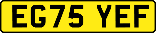 EG75YEF