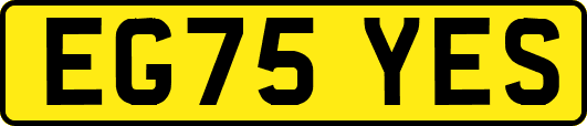 EG75YES