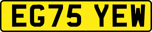 EG75YEW