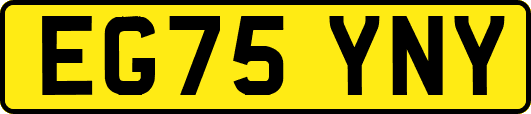 EG75YNY