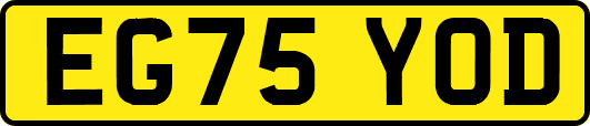 EG75YOD