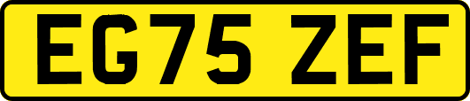 EG75ZEF