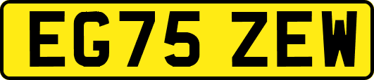 EG75ZEW