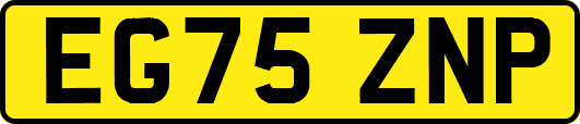 EG75ZNP