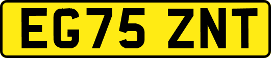 EG75ZNT