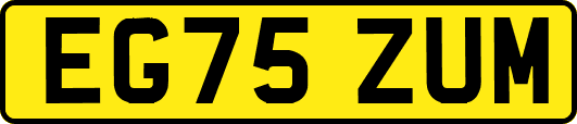 EG75ZUM