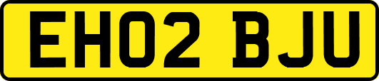 EH02BJU