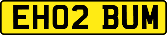 EH02BUM