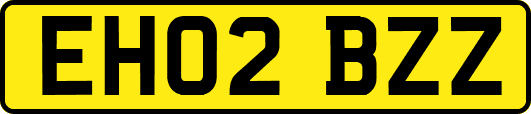 EH02BZZ