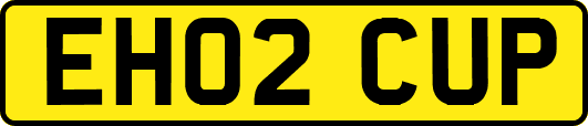 EH02CUP