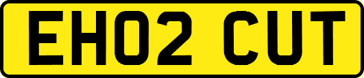 EH02CUT