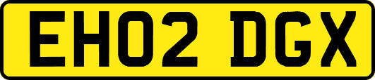 EH02DGX