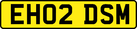 EH02DSM
