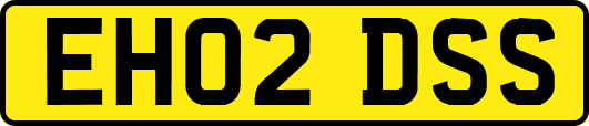EH02DSS