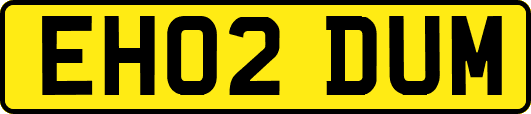 EH02DUM