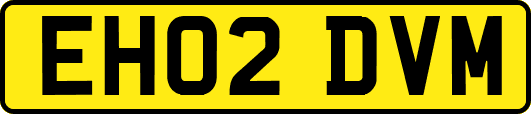 EH02DVM