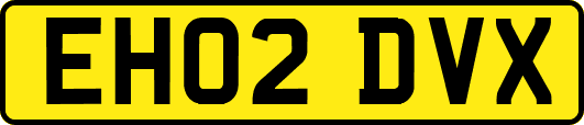 EH02DVX