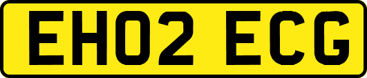 EH02ECG