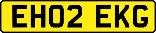 EH02EKG