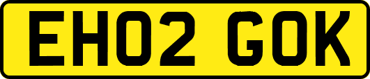 EH02GOK