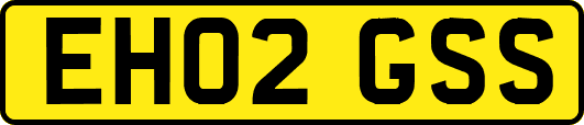 EH02GSS