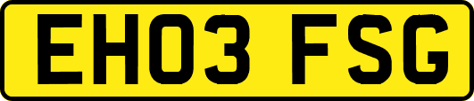 EH03FSG