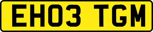EH03TGM