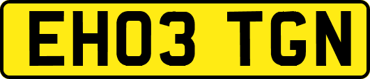 EH03TGN