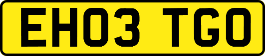 EH03TGO
