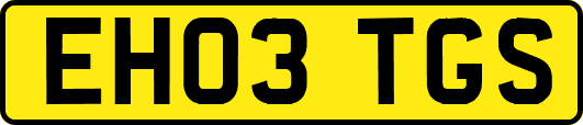 EH03TGS