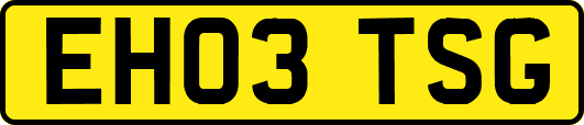 EH03TSG