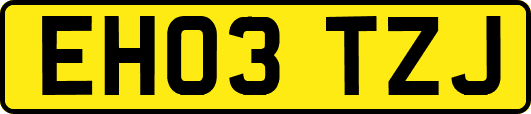 EH03TZJ