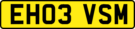 EH03VSM