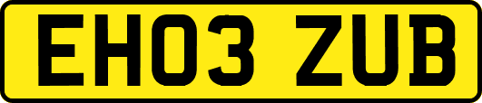 EH03ZUB