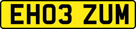 EH03ZUM