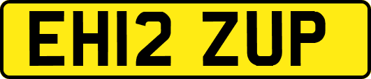 EH12ZUP