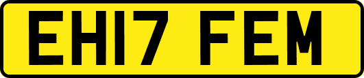 EH17FEM