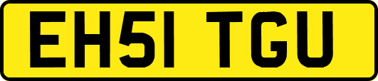 EH51TGU
